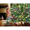 Jingle Jollys Christmas Tree 2.4M Xmas Tree Decoration 8 Light Mode
